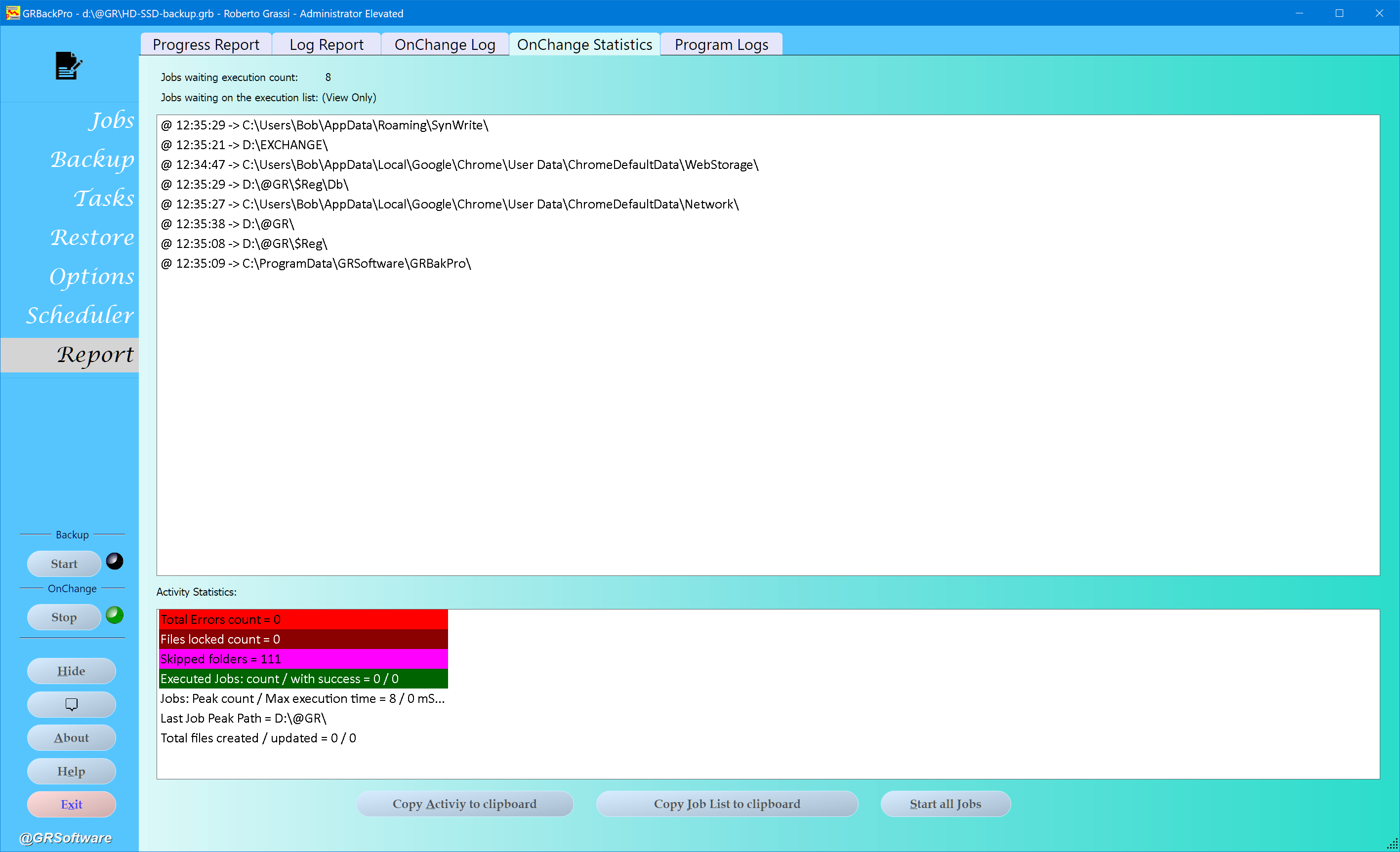 Report panel image
